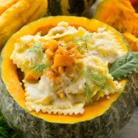 zucca