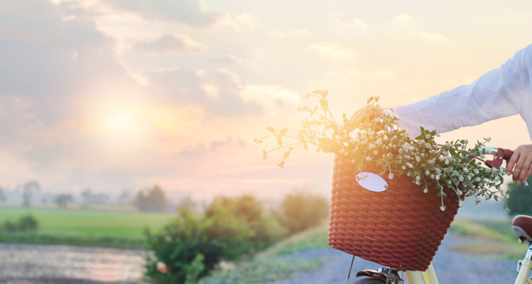 Woman with vintage bicycle fulled of flowers in the basket on summer sunset rural background