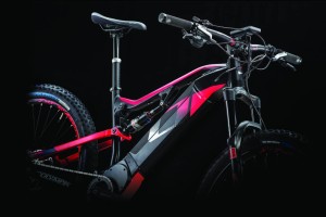 ebike13