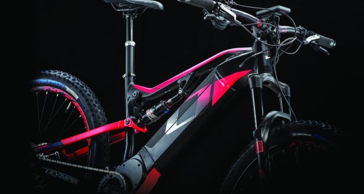 ebike13