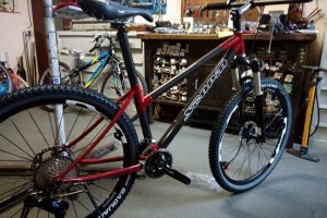 Romeo mtb, con telaio Scapin Nyro