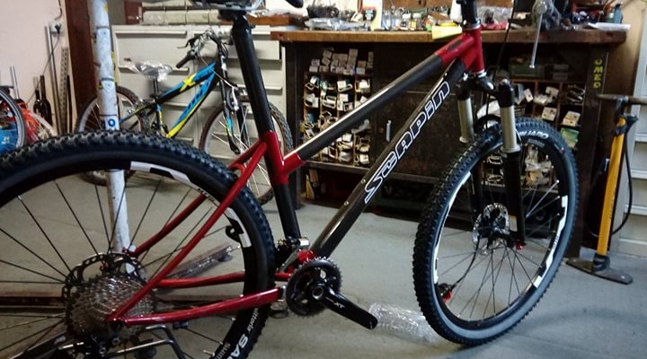 Romeo mtb, con telaio Scapin Nyro