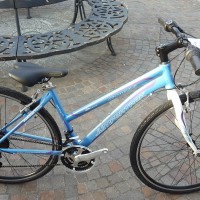 Bici da trekking con telaio adatto a ragazze dai 10 ai 14 anni, telaio in alluminio, forcella rigida, cambio 21 velocità grip shift. Disponibile azzurra o bianca