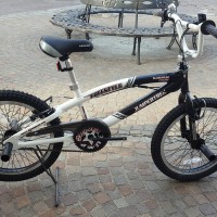 Bici da freestyle in alluminio con ruote da 20", manubrio girevole a 360°, freni v-brake in alluminio, ruote con raggiatura maggiorata. Assemblata in Italia.