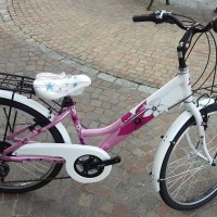 Trekking bambina 24". In alluminio superleggero, 18 velocità, forcella rigida, gomme da fuoristrada o semistradali. Con grafiche accattivanti, disponibile in vari colori. Viene fornita con portapacchi. Ideale per le prime pedalate importanti