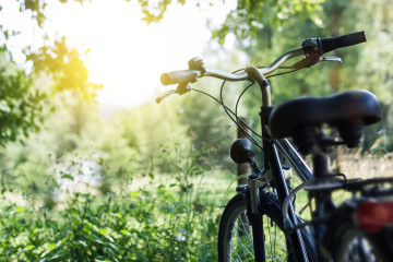 Fahrrad in der Natur