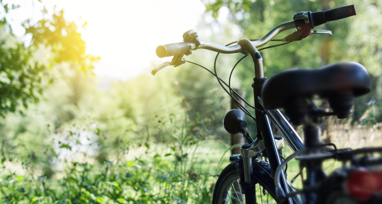 Fahrrad in der Natur