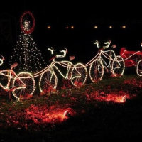 auguri in bici