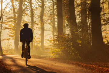 Silhouette of a biker in fall