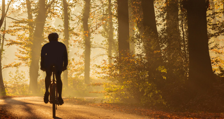 Silhouette of a biker in fall