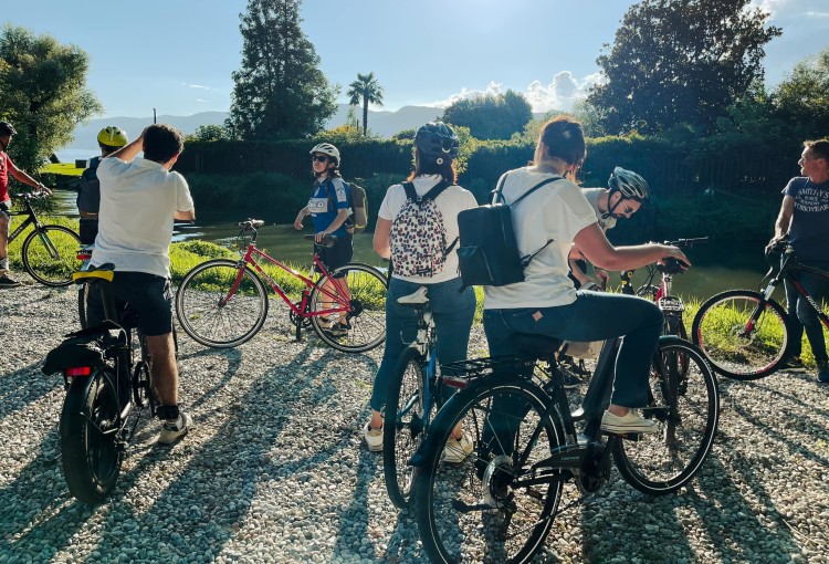 ale favaro 7 gruppo bici