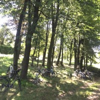 bici bosco