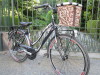 bici donna 2