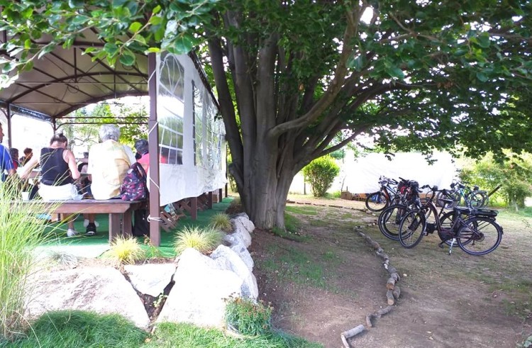 bici e platea