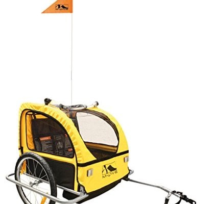 carrello