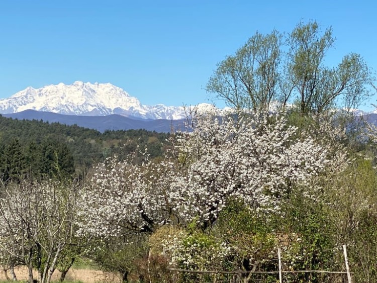 paesaggio