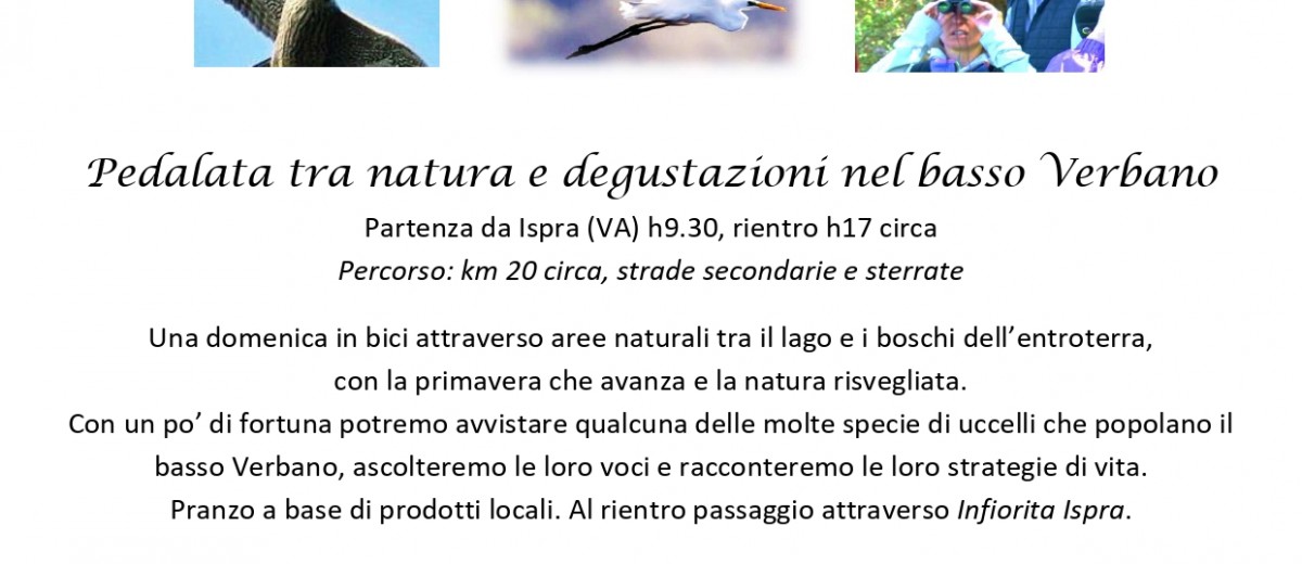 locandina falchi e aironi_page-0001