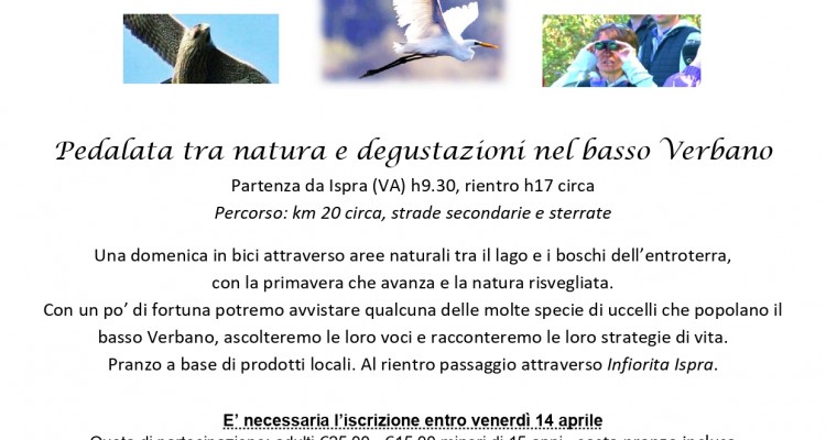 locandina falchi e aironi_page-0001