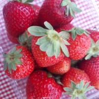 fragole 1