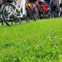 mulino bici